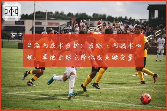 年温网技术分析：发球上网战术回潮，草地击球点降低成关键变量